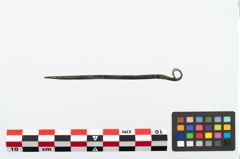 Foto von Bronzerollenkopfnadel (NHMW-PRAE-025119)
